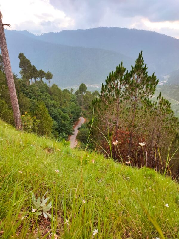 Siran valley trip booking for solo travellers, group travellers, and couple travellers, in the district of mansehra, tehsil mansehra, in the pakistan northern areas