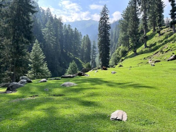 Siran valley trip booking for solo travellers, group travellers, and couple travellers, in the district of mansehra, tehsil mansehra, in the pakistan northern areas